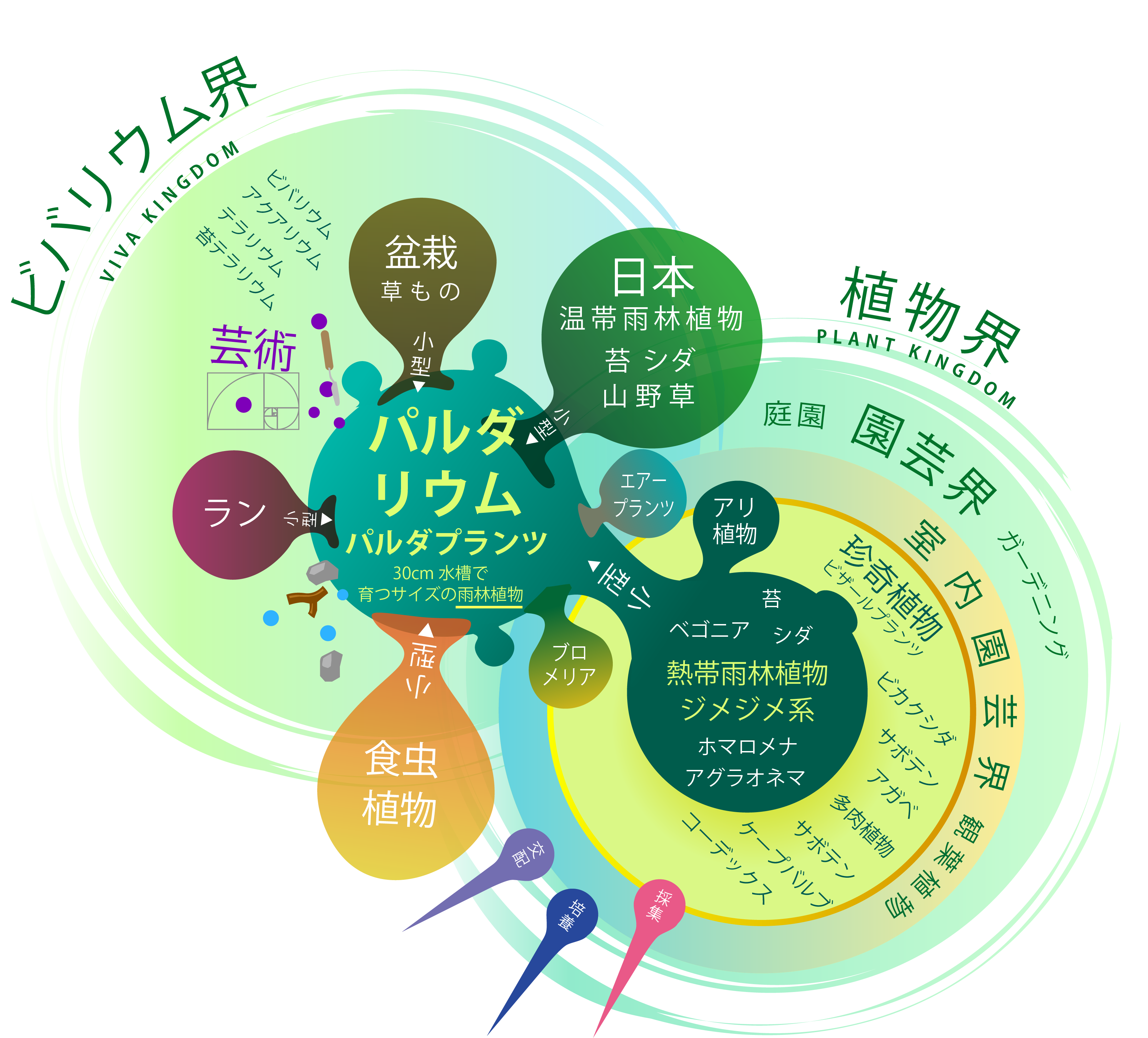 パルダリウムと植物界の相関図